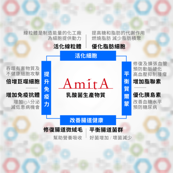 AmitA乳酸菌生產物質功效