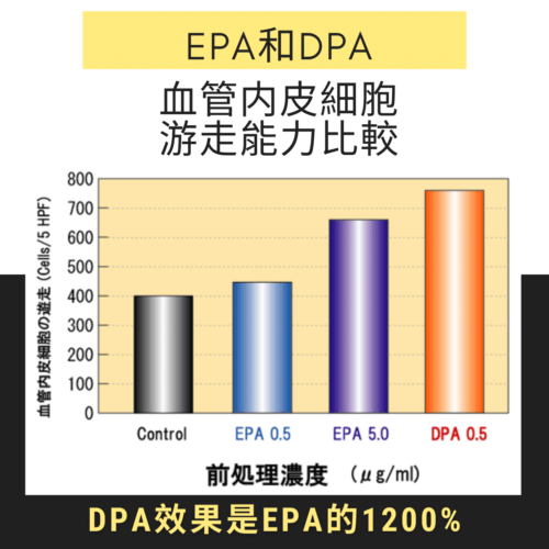 AmitA DPA具有促進血管內皮細胞游走功能
