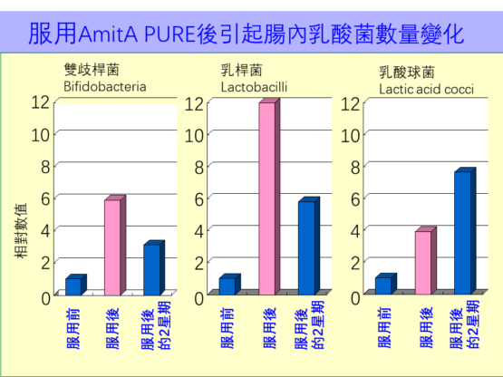AmitA PURE 培養腸道益菌