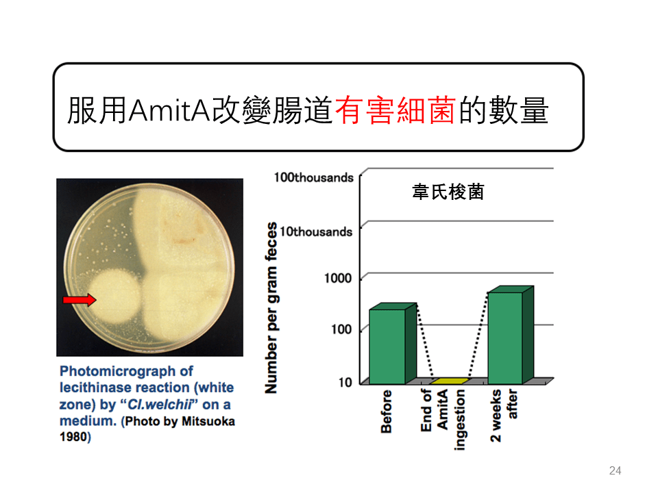 AmitA PURE抑制腸道壞菌